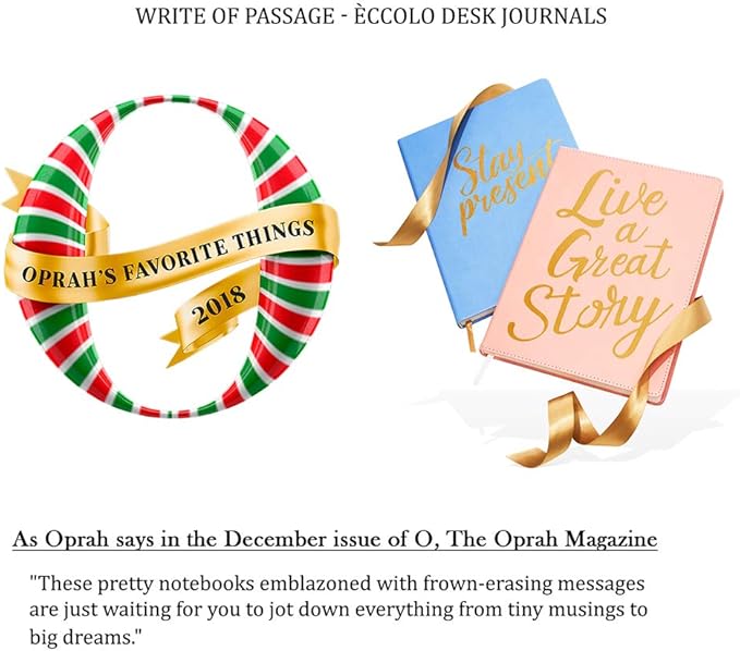 WORLD TRAVELER Eccolo Large Lined Bee Journal Notebook, Hardbound Cover, Writing Journal, 256 Ruled Ivory Pages, Ribbon Bookmark, Lay Flat, Desk Size, Gray Gold Bee (Gray, 8x10 inches)