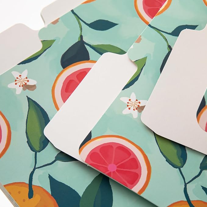 Y YOMA 12 Pack Decorative File Folders Letter Size File Folder with 1/3-Cut Tab Cute Pretty Colored Heavyweight Filing Folder File Organizers for Office School Home Desktop, Tropical Fruits
