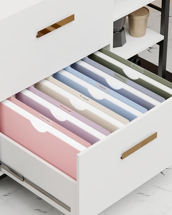 ANSOOK Plastic File Jackets,1" Legal Size Manilla Folders,12 Pack Expanding File Folder,Expansion Pocket,File Cabinet Folders,Reinforced Straight Cut Tab,Morandi Color Manila Folder for Office Home