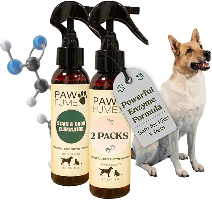 PAWFUME Stain & Pet Urine Odor Eliminator, 2-Pack – Removes Impurities in Seconds – Enzymatic Formula, Quick-Dry Action, & Eco-Friendly Ingredients – Upholstery, Fabrics, and Carpet Cleaner Spray