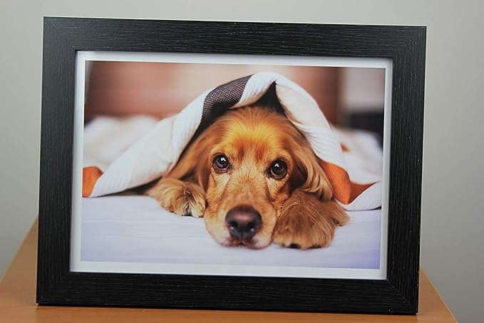 PPD 8.5 x 11 50 Sheets Glossy Photo Paper 180gms for Inkjet Printer, Custom Picture, Professional Photographic Instant Dry For Normal, Dye or Pigment Ink - PPD-24-50