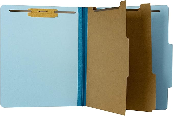 The File King Classification Folders 2 Dividers Letter Size - Pale Blue, 10 Pack | Pressboard Classification Folder | 2-Inch Expansion | Made in USA | Medical File Folders with Dividers and Prongs