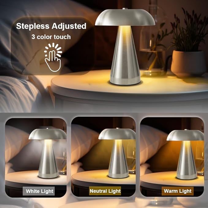 Portable LED Desk Lamp, Cordless Metal Table Lamp, 3-Color Touch Control Rechargeable Light, 3-Levels Brightness Room Decor, Bedside & Dining Room Light (Sliver)