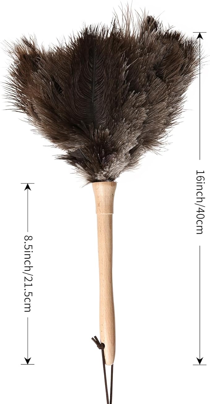 Daieeparty Ostrich Duster Fluffy Natural Feather Dusters with Wooden Handle Cleaning Supplies for Home Office Car (2, 16inch)