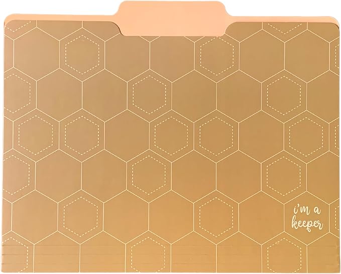 Steel Mill & Co Cute File Folders, Set of 9, Document Organizer for Filing Cabinet, Decorative Letter Size Files, Bees