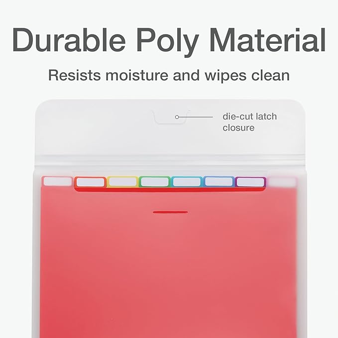 Oxford Portable File Organizer, 8 Plastic File Folders, Clear Case, Storage for Home and Office, Document Organizer, Holds 8-Tab Poly Project Folders, Letter Size, Assorted Colors, 2 Pack (52022)