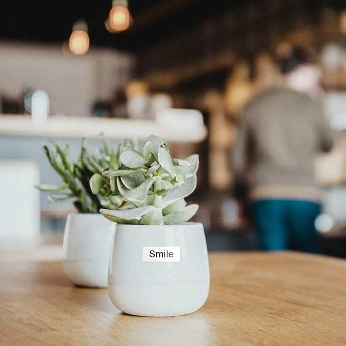 6-Pack Replace for Dymo Label Maker Refills D1 45013 a45013 S0720530, Black on White 1/2 Inch x 23Ft Used for Dymo LabelManager 160 420P 210D 280 360D PnP Label Maker, 12mm x 7m