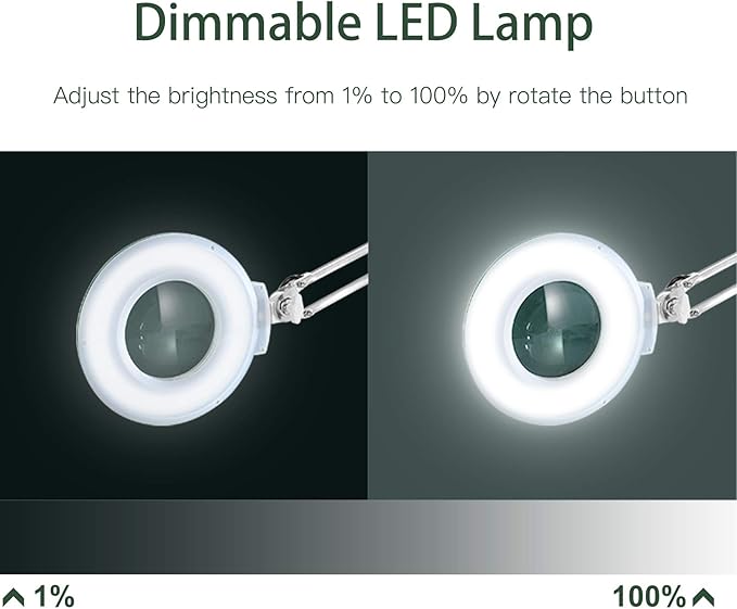 10X Magnifying Glass with Light and Stand,Dimmable Book Lighted Magnifier,Adjustable Stainless Steel Lamp Arm,Large LED Desk Lamp Hands Free for Crafts Hobby Reading Painting Sewing Close Work