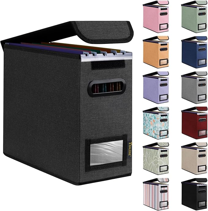 BALEINE File Organizer Box with Lid, Collapsible File Folder Organizer with Plastic Slide, Hanging File Folder Box for Office Document Storage (1 Pack, Black, S)