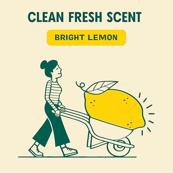 Aunt Fannie's All Purpose Household Cleaner, Multi-surface Spray, Powered by Vinegar for Kitchen, Bath, Windows and Countertops, Lemon Scent (Refill)