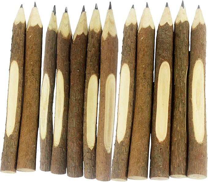 SKKSTATIONERY 12 Pcs Natural Wooden Pencils Wood Tree Branch, 5" Long Twig Hand Made Pencils for School Party Supplies Novelty Gifts