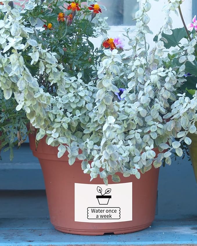 M110 Labels Compatible with Phomemo M110/M120/M200/M220/M221 Label Maker, Multi-Purpose Self-Adhesive Thermal Label, 1.96"x 1.18"(50x30mm), Black on White, 230pcs