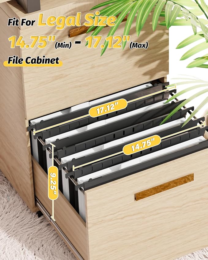 Ansook Extra Capacity Legal Size Plastic Hanging File Folders,12 Pack Reinforced Legal Hanging Folder with Heavy Duty 2 Inch Expansion,Filing Cabinet Folder,for Bulky Files, Medical Charts,Black