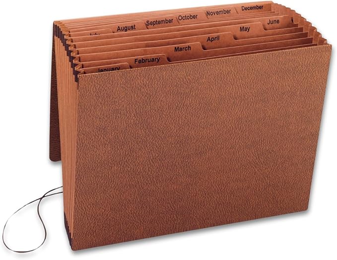 1InTheOffice Accordion File Organizer, Expandable File Folder Organizer, 12 Pocket Accordion Folder, Monthly Index, Elastic Cord, 1/6-Cut Tabs, Letter Size, Red Rope