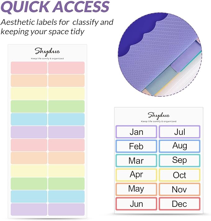 SKYDUE Accordion File Organizer, 13 Pocket File Folder Organizer with Clear Cover, Expanding Document & Paper Organizer with Tabs, Letter A4 Size, for Home or Work