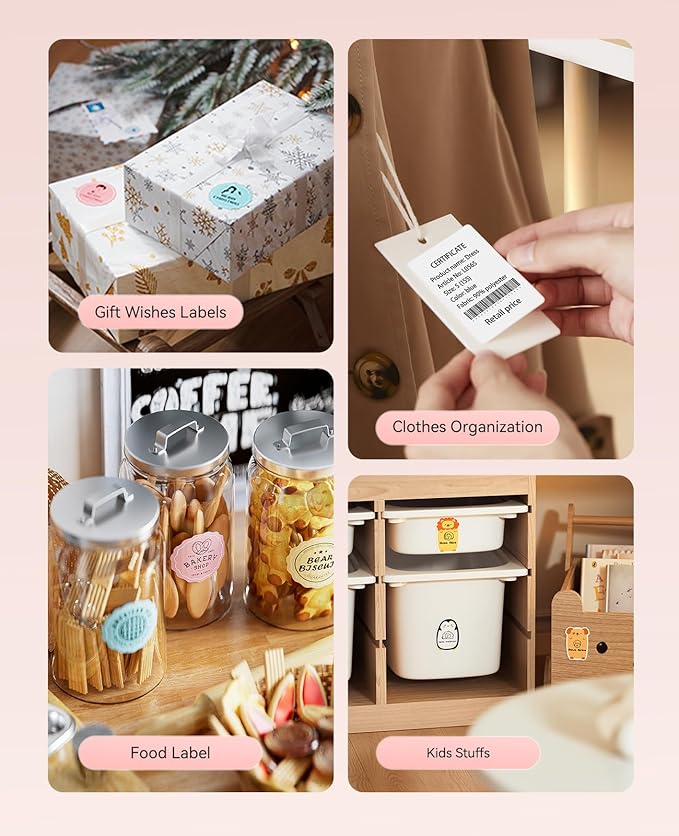 NIIMBOT B21 Label Maker, 2 Inch Portable Thermal Label Printer, Label Maker Machine with Tape, Compatible with Android, iOS & PC,Labeling for Home Storage Office and Small Business,Red