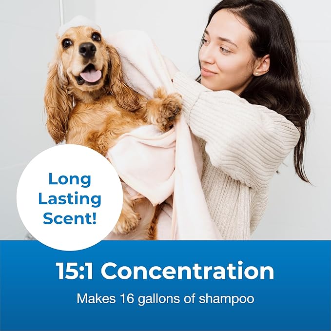 PetAg Fresh ’n Clean Moisturizing Shampoo, Classic Fresh Scent (15:1 Concentrate) - 1 Gallon - Moisturizes with Vitamin E & Aloe Vera - Strengthens & Repairs Coats - Soap Free