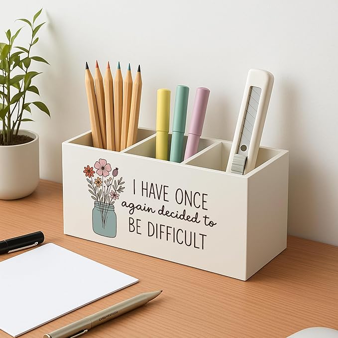 Funny Mental Health Pen Pencil Holder for Desk, Sarcastic Office Humor Gifts for Coworkers, I Have Once Again Decided to Be Difficult Funny Pencil Cup for Office