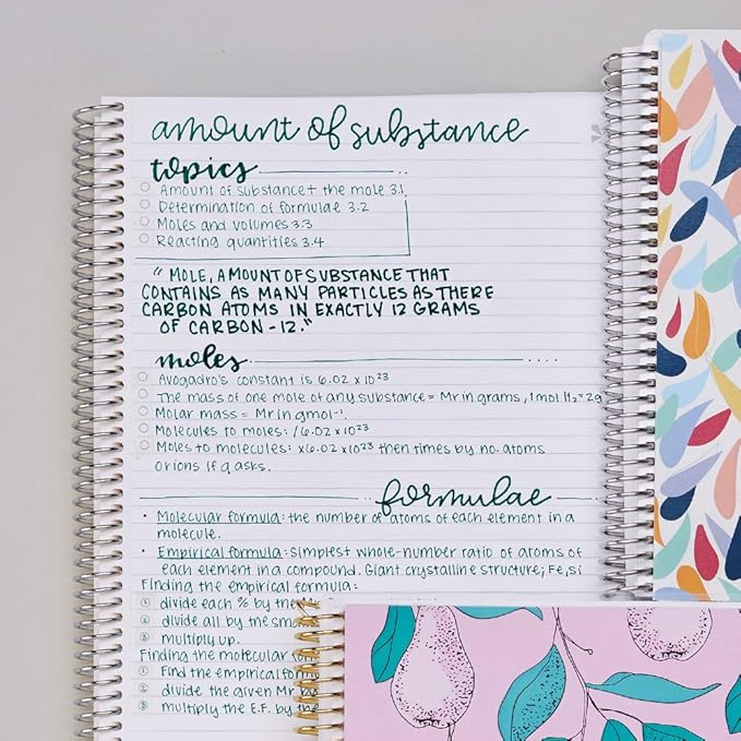 Erin Condren 7" X 9" Spiral Bound College Ruled Notebook - Kaleidoscope Colorful, 160 Lined Page Note Taking & Writing Notebook, 80Lb Thick Paper, Stickers Included