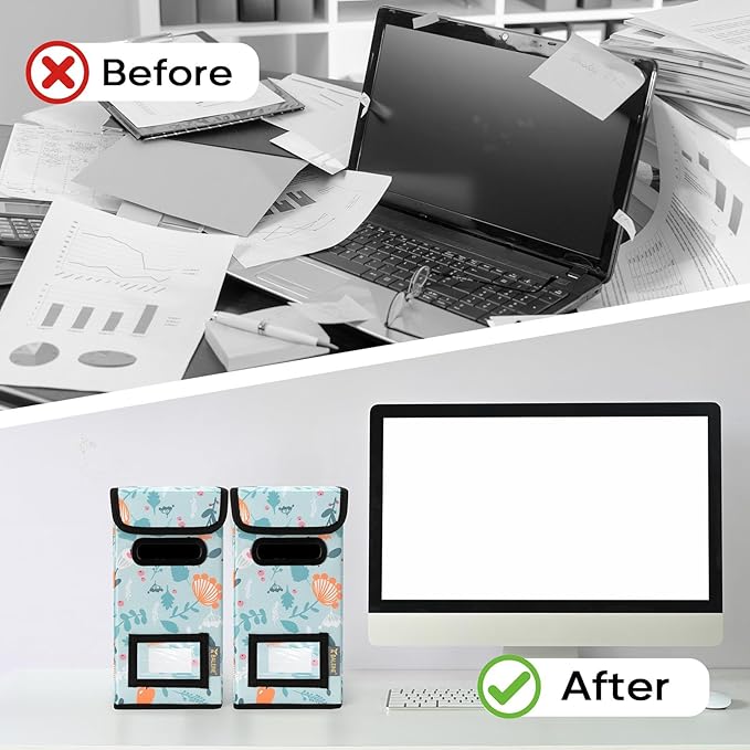 BALEINE File Organizer Box with Lid, Collapsible File Folder Organizer with Plastic Slide, Hanging File Folder Box for Office Document Storage (1 Pack, Spring Stroll, S)