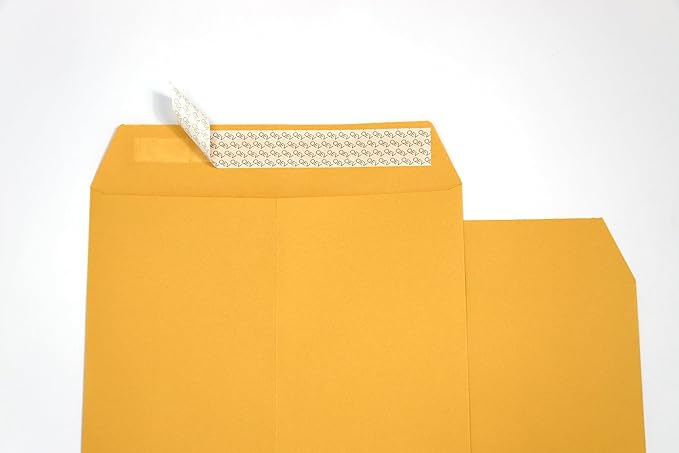 Manila Envelopes 9x12, 28lb Brown Kraft Paper, Self Seal adhesive tape, 100 count