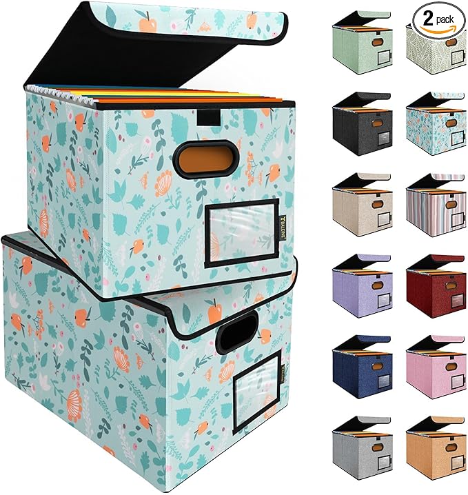 BALEINE File Organizer Box with Lid, Collapsible File Folder Organizer with Plastic Slide, Hanging File Folder Box for Office Document Storage (2 Pack, Spring Stroll)