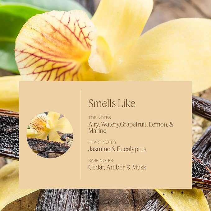Aera Vanilla - Essential Oil for Home - Enveloped in Comfort Fragrance - Notes of Vanilla, Tonka and Bourbon - Scent Refill - Works with The Aera Diffuser