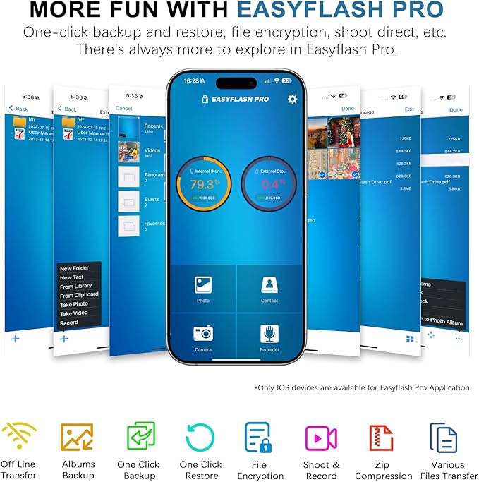 Flash Drive for iPhone 256GB, 4 in 1 USB Type C Memory Stick, Photo Stick External Storage Thumb Drive for iPhone iPad Android Computer, Sky Blue