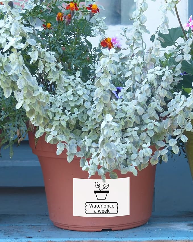 M110 Labels Compatible with Phomemo M110/M120/M200/M220/M221 Label Maker Printer, Black on White, 1.57"x 2.36"(40x60mm), Multi-Purpose Self-Adhesive Thermal Labels