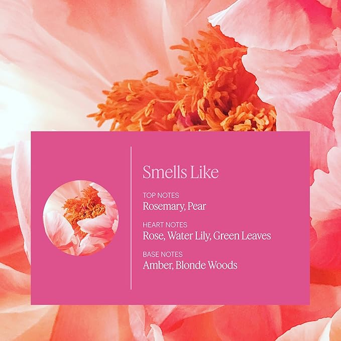 AERA Rose - Essential Oil for Home - Fresh and Sensuous Fragrance - Notes of Himalayan Rose, Linden and Peony - Scent Refill - Works with The Diffuser