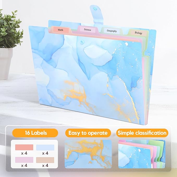 Expanding File Folder,Folders for Important Documents Organizer,Accordion File Organizer,Aesthetic Folders for School Students,5 Pockets File Folder for Home Bills,Pack of 2(Pink+Blue)