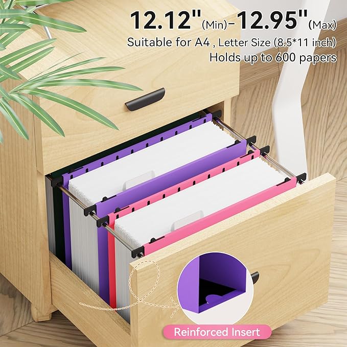 ANSOOK Plastic Hanging File Folders Letter Size, 3 Inch Reinforce Expanding File Folder,12 Pack File Cabinet Folders with 15 Insertable Tabs,Heavy Duty Accordion File Organizer for Office Home School