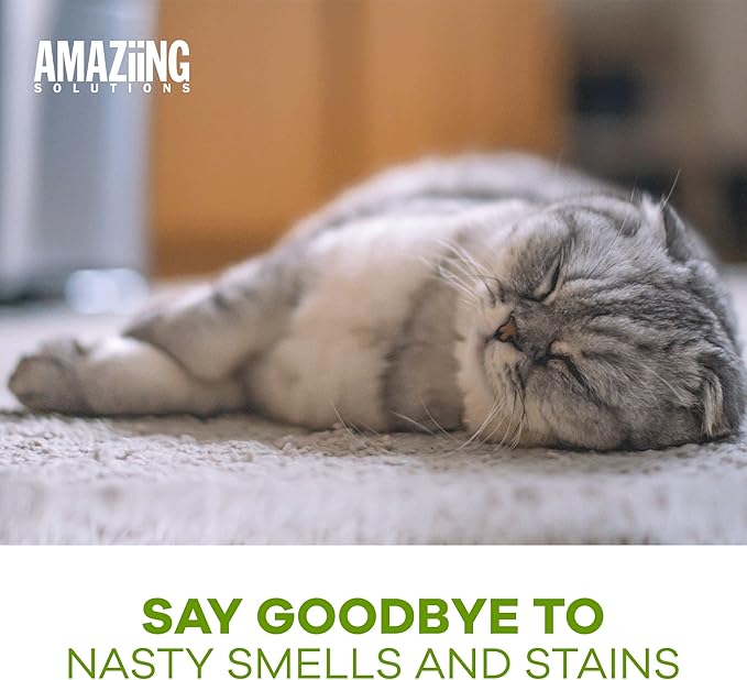 Amaziing Solutions Pet Carpet Shampoo - Carpet Cleaner Solution for Carpet Cleaner Machine, Urine Smell & Stain Remover, Pet Urine Enzyme Cleaner, Carpet Shampoo Solution, Carpet Shampooer, 1 Gallon