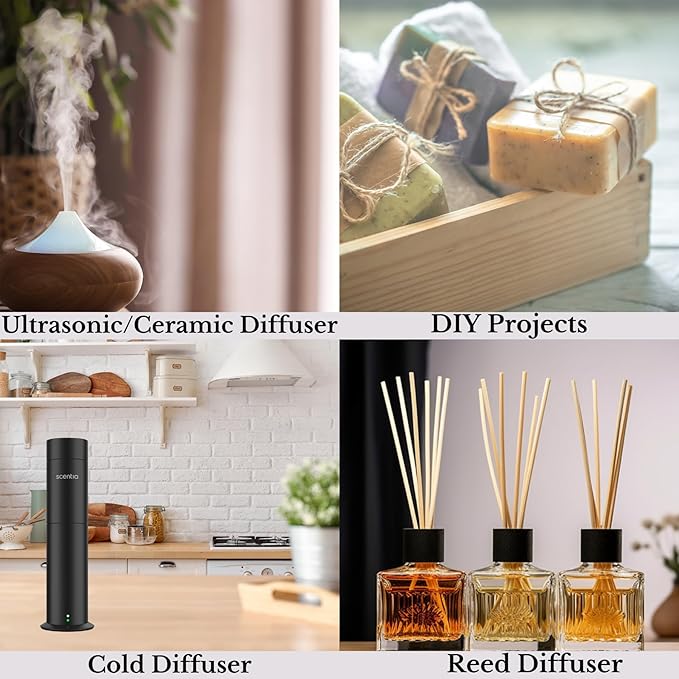 Scentia Hotel Diffuser Oil Inspired by The 5-Star Hotel Scent - 50 ml 1.69 fl oz - Fragrance Oil Blend White Tea, Cedarwood & Amber Notes for Aromatherapy Diffusers and Humidifiers - Dream Walk