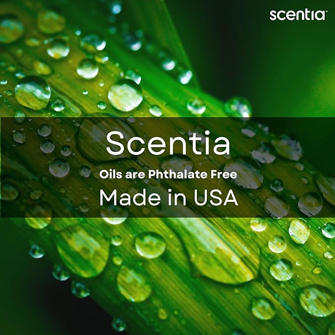 Scentia My Way Hotel Diffuser Refill Oil Inspired by The The 1 Hotel Miami Beach- 500 ml 16.9 fl oz - Essential Oil Blend Sandalwood, Cedar & Lemon Notes for Aromatherapy HVAC Diffuser