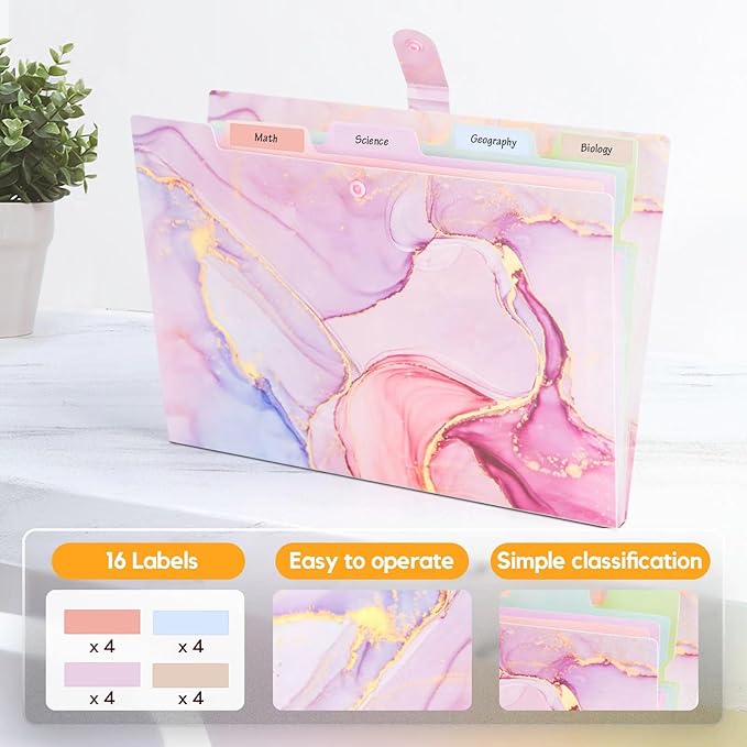 Expanding File Folder,Folders for Important Documents Organizer,Accordion File Organizer,Aesthetic Folders for School Students,5 Pockets File Folder for Home Bills,Pack of 2(Pink+Pink)