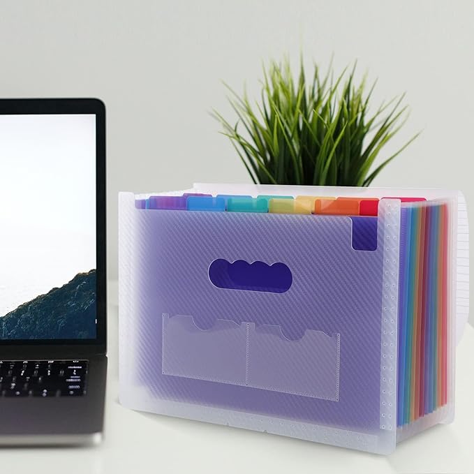 SKYDUE Accordion File Organizer, 13 Pocket File Folder Organizer with Clear Cover, Expanding Document & Paper Organizer with Tabs, Letter A4 Size, for Home or Work