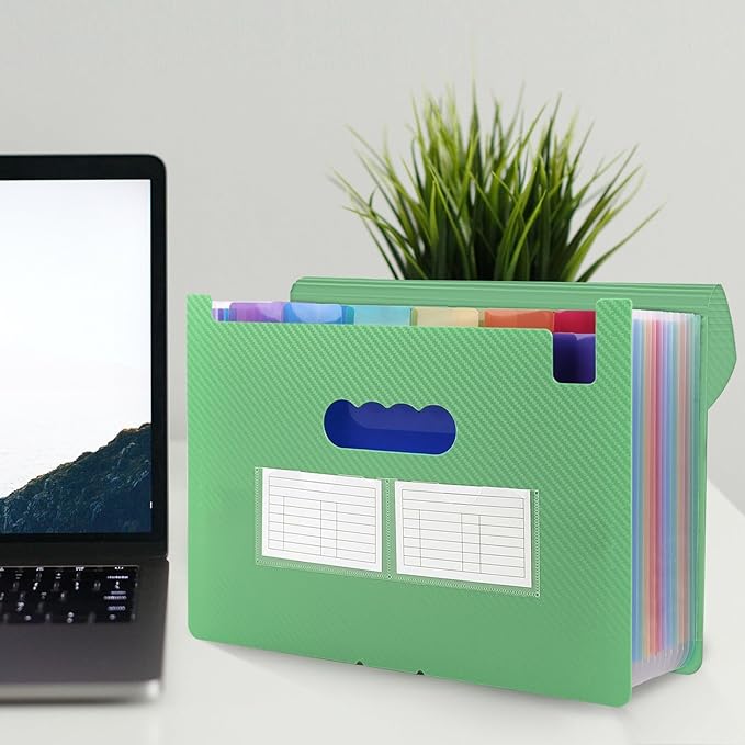 SKYDUE Accordion File Organizer, 13 Pocket Document Organizer, Expanding File Folder with Labels for Letter A4 Size, Office School Filing Use Green