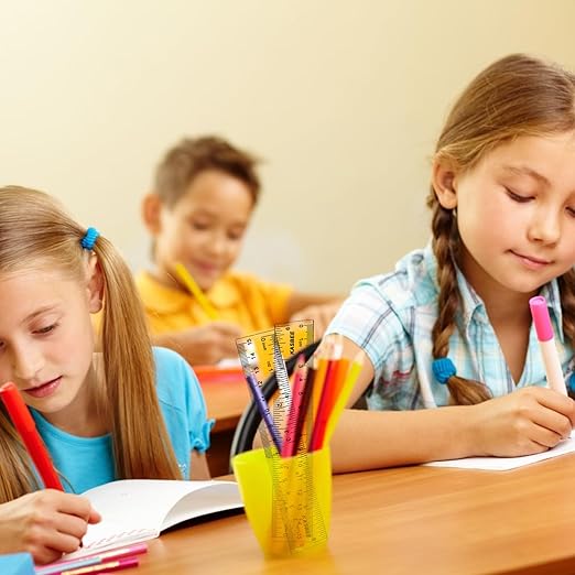 Plastic Rulers, 6 Inch Ruler, Clear Measuring Tool for Student School Office, Inches and Centimeters, Pack of 2