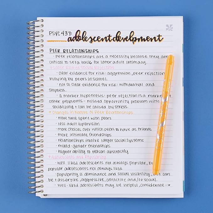 Erin Condren 7" X 9" Spiral Bound College Ruled Notebook - Layers Neutral, 160 Lined Page Note Taking & Writing Notebook, 80Lb Thick Paper, Stickers Included