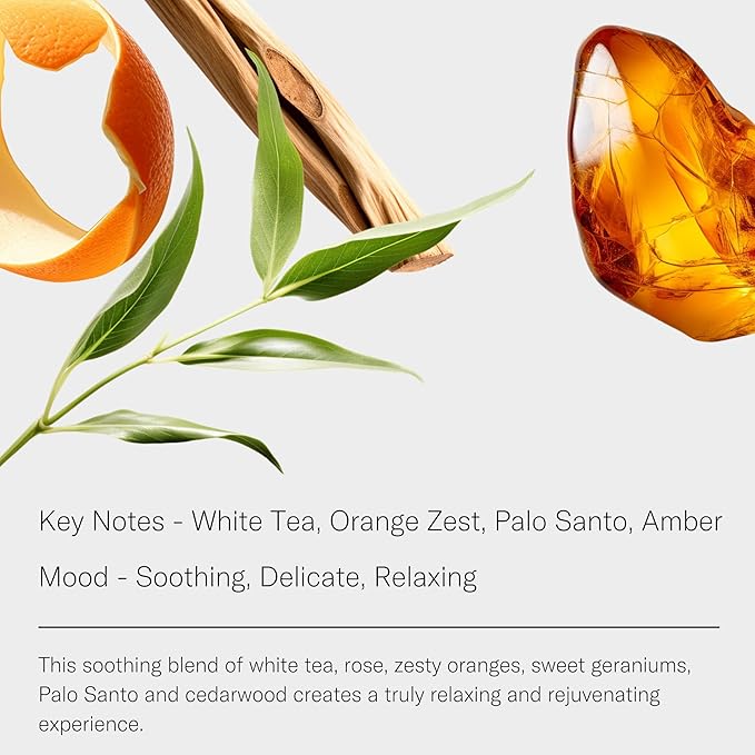 AromaTech White Tea Aroma Essential Oil Blend: Luxury Hotel Inspired Aromatherapy with White Tea, Orange & Palo Santo for Ultrasonic Diffusers & Nebulizers - 0.3 fl oz, 10 mL