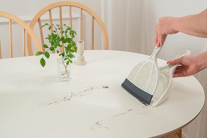 Broombi with Brush & Dustpan and Mini Pet Hair Remover