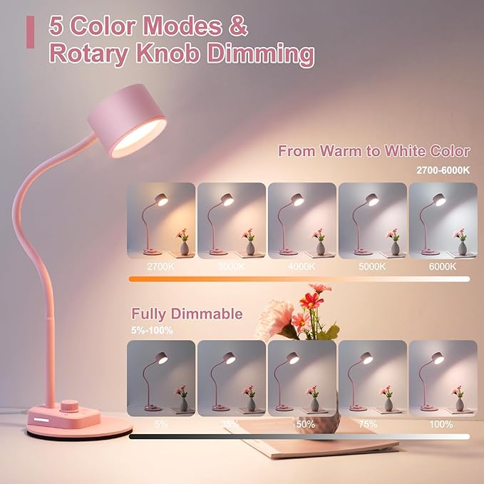 Cute Desk Lamp with USB C + A Charging Port, 5 Colors Dimmable Reading Lamps, Minimalist Pink Lamp for Kids, Eye Care Metal Bedside Table Lamp with Timer Flexible Gooseneck Desk Light for Home Office
