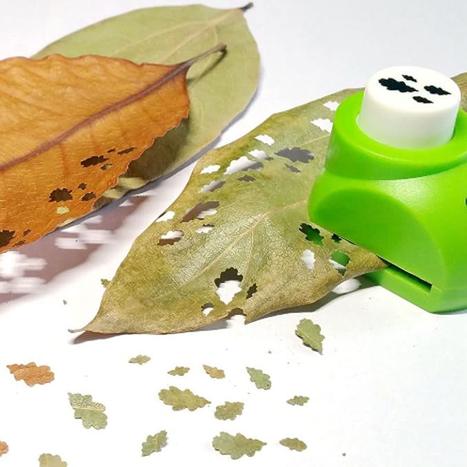 Yosoo Craft Hole Punch Shapes Set with 8pcs Paper Beautiful Paper Punch Cutter Tree Leaf Making DIY Craft Accessories Scrapbooking (Oak Leaf)