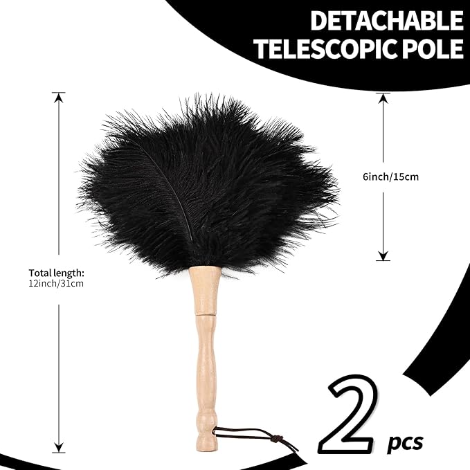 MehelloFeather Ostrich Feather Duster 12 Inch Handheld Duster Supplies, Wooden Handle Feather Duster for Cleaning Keyboard Home Car Office (Black 2Pcs)