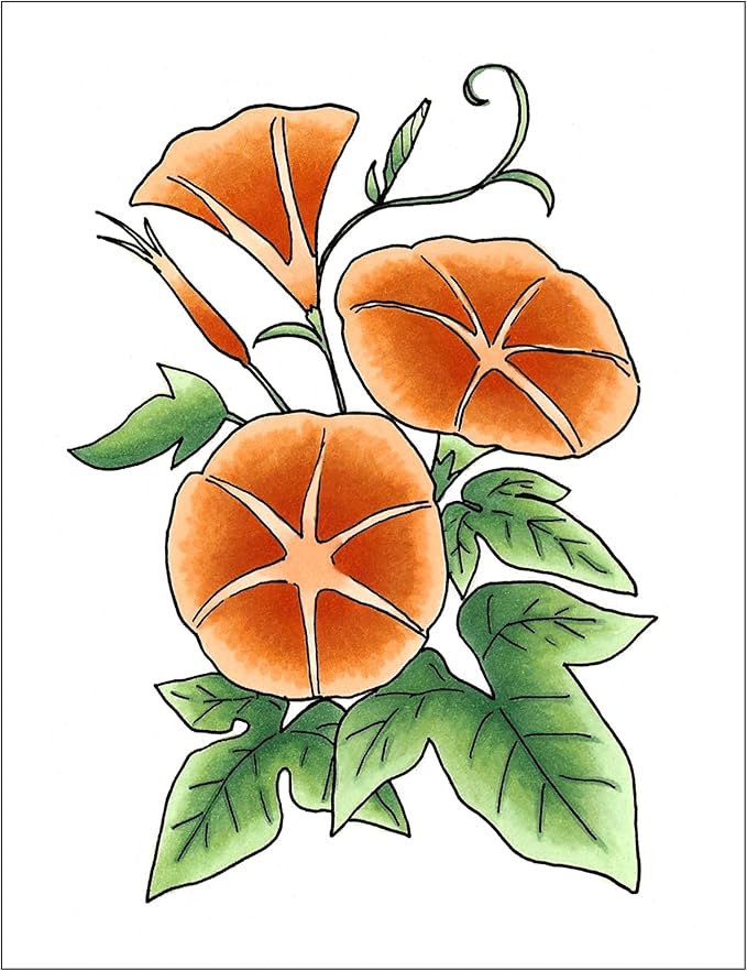 Copic Sketch, Alcohol-based Markers, 3pc Set, Color Fusion #4, Orange