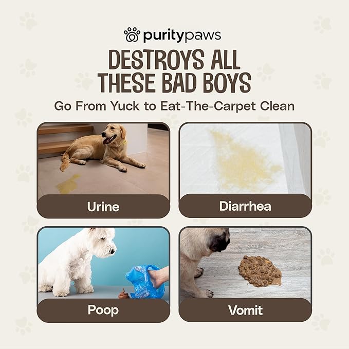 Purity Paws Pet Stain & Odour Remover – Fast-Acting Enzyme Cleaner for Dog & Cat Urine, Feces & Vomit – Pet Safe Odor Eliminator for Carpet, Upholstery, Car, Bedding, Tiles – Puppy Essentials – 500ml