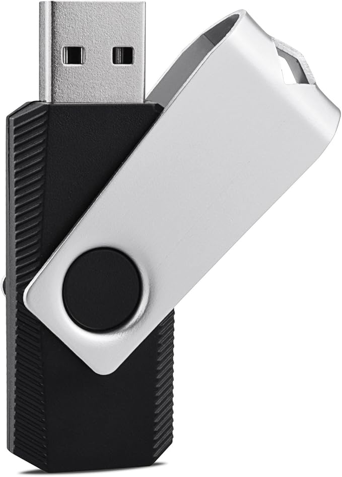 KEXIN 100 Pieces 1GB Flash Drive Bulk Flash Drive 1 GB Thumb Drive Bulk USB Drives 1G USB Stick Swivel 100 Pack 2.0 (1G, 100PCS, Black)