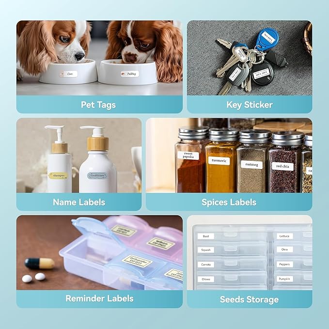 DEEPIN D11 Label Maker Machine Portable Bluetooth Label Maker with Tape, Thermal Label Printer Multiple Templates for Phone, Mini Label Sticker Printer for Business Office Organization, Green