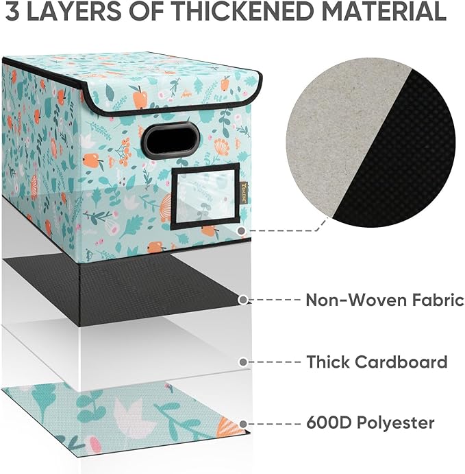 BALEINE File Organizer Box with Lid, Collapsible File Folder Organizer with Plastic Slide, Hanging File Folder Box for Office Document Storage (2 Pack, Spring Stroll)